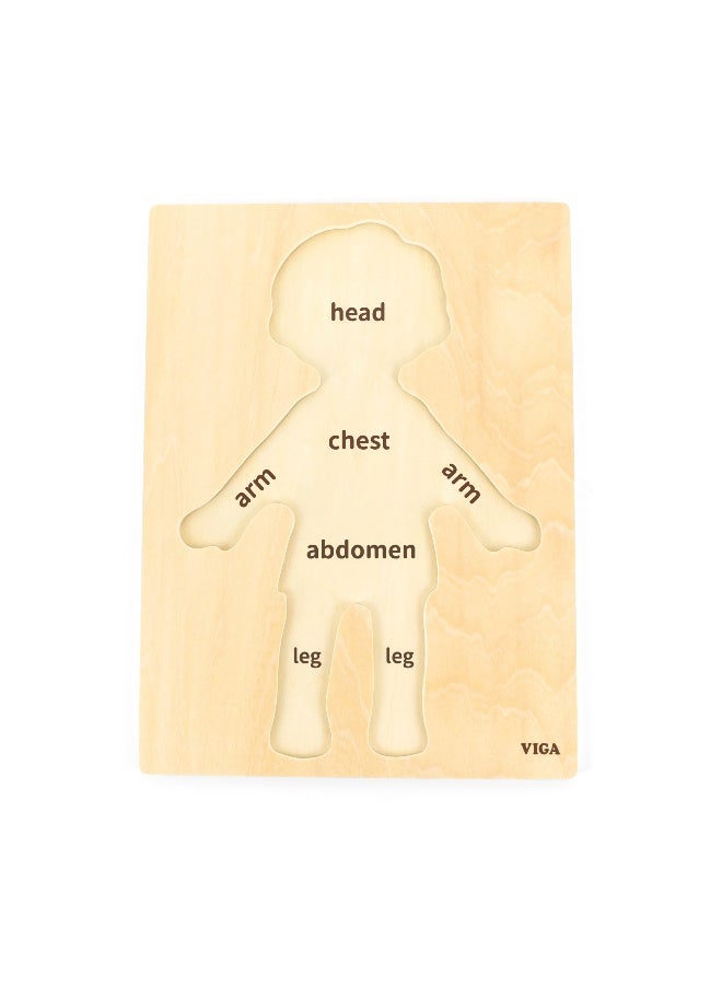 Viga Boys Body, 7 Piece Knob Puzzle, Montessori Wooden Toy, Develops Sensory, Cognitive & Fine Motor Skills, Non-Toxic & Eco-friendly Kids Educational Toy, Suitable for Boys and Girls Aged 18M+ - Image 3