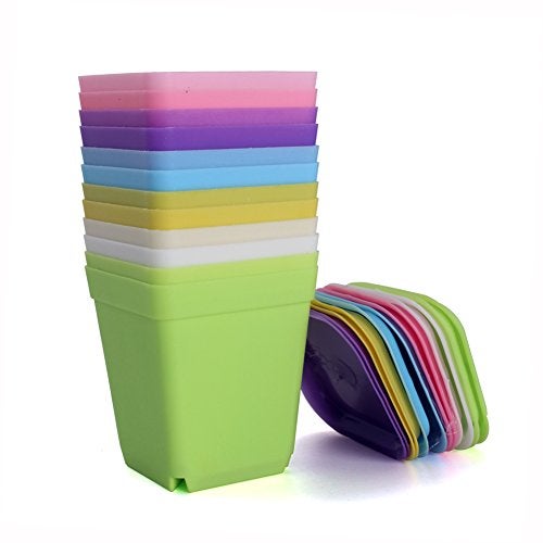 WARMBUY Colorful Plastic Flower Pots with Saucers for Small Plants, Set of 12 - Image 3