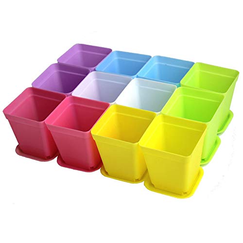 WARMBUY Colorful Plastic Flower Pots with Saucers for Small Plants, Set of 12 - Image 2