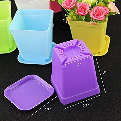 WARMBUY Colorful Plastic Flower Pots with Saucers for Small Plants, Set of 12 - Image 4