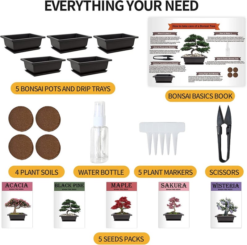 Meekear Meekear 5 Bonsai Tree Kit Complete Plant Growing Tools, Grow in Pot Indoor Bonsai Tree Starter Kit, Great Home Gardening Potted Plants DIY Gift for Adults  - Image 2