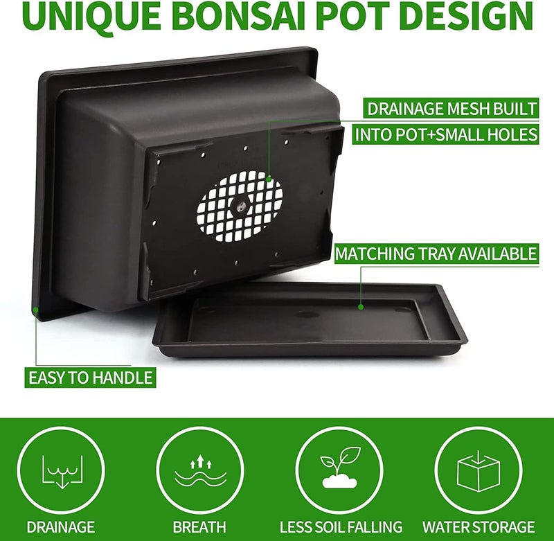 Meekear Meekear 5 Bonsai Tree Kit Complete Plant Growing Tools, Grow in Pot Indoor Bonsai Tree Starter Kit, Great Home Gardening Potted Plants DIY Gift for Adults  - Image 3