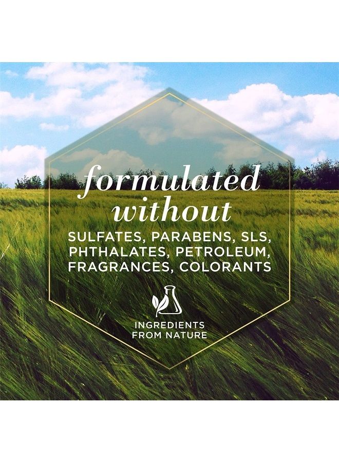 Burt's Bees for Pets Itch Soothing Shampoo with Honeysuckle | Anti-Itch Dog Shampoo for Dogs with Sensitive Skin | Cruelty Free, Sulfate & Paraben Free, pH Balanced for Dogs - Made in the USA, 16 Oz - Image 2