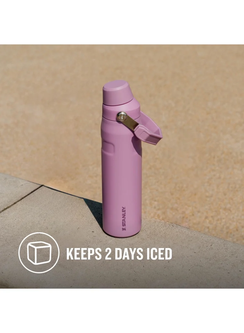 Stanley The Aerolight IceFlow Water Bottle Fast Flow 0.6L - Keeps 10 Hours Cold - Lightweight Insulated Water Bottles - Dishwasher Safe - Leakproof and Fast Flow Lid - BPA Free - Lilac