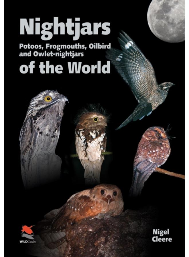 Nightjars, Potoos, Frogmouths, Oilbird, and Owlet???nightjars of the World 