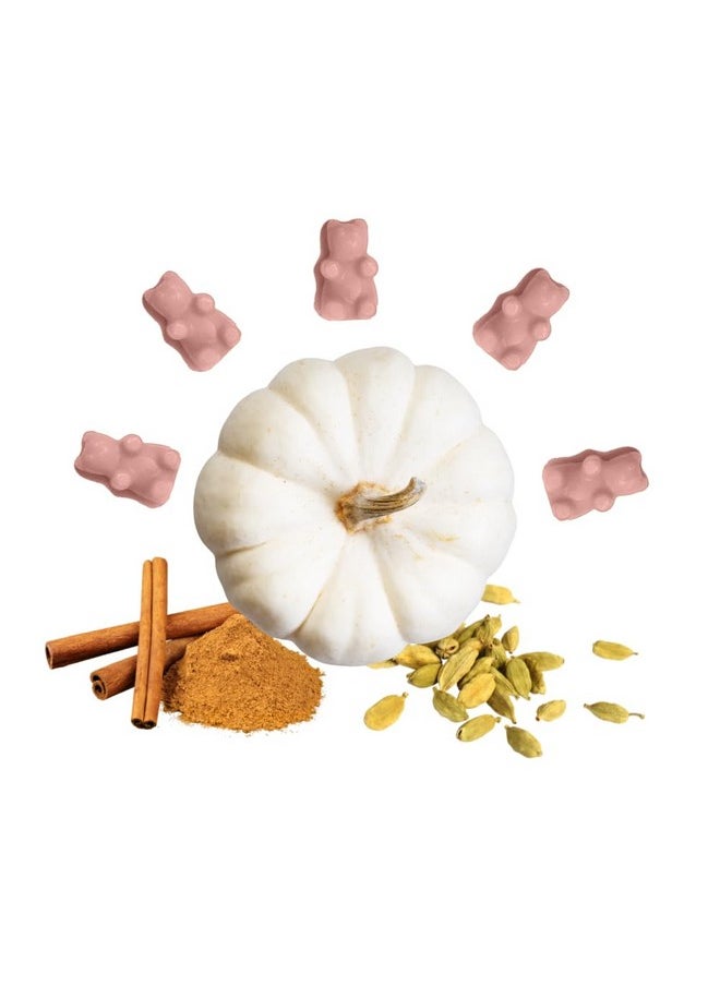 Happy Wax Classic Pumpkin Collection Scented Natural Soy Wax Melts - 6 Total Oz. of Scented Wax Melts, Collection Includes 2oz Pumpkin Spice Latte, 2oz Pumpkin Souffle, and 2oz White Cinnamon Pumpkin - pzsku/Z6E123CF0DE899F6DDB70Z/45/_/1740982536/4d72dc06-ea19-4e9e-930a-812147b57fe1