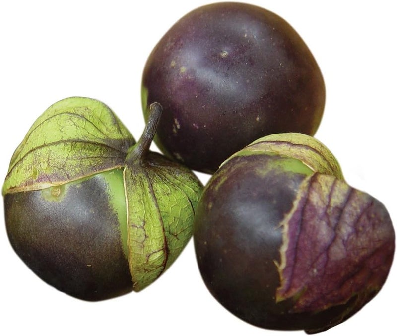 Burpee Purple Organic Tomatillo Seeds 80 seeds - Image 1
