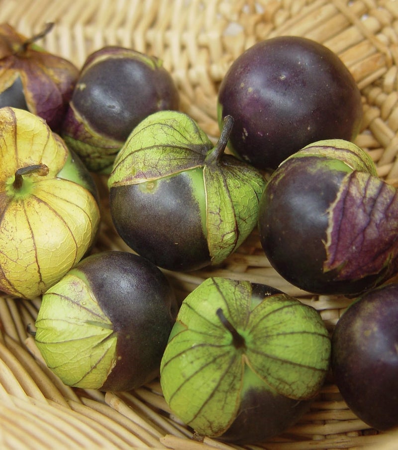 Burpee Purple Organic Tomatillo Seeds 80 seeds - Image 2