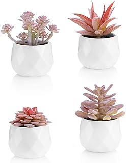 VIVERIE VIVERIE Viverie Faux Succulents in White Ceramic Pots for Desk, Office, Living Room, and Home Decoration - Fake Plants  - Image 1
