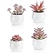VIVERIE VIVERIE Viverie Faux Succulents in White Ceramic Pots for Desk, Office, Living Room, and Home Decoration - Fake Plants  - Image 2