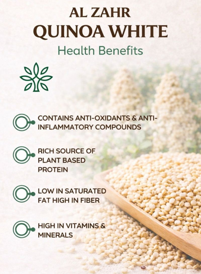 Zahr White Quinoa Seeds (Habat Al Quinoa Al Bayda) – Chenopodium quinoa | Premium Botanical Seeds for Gardening, Horticulture, Herbal Projects & Planting - Image 3