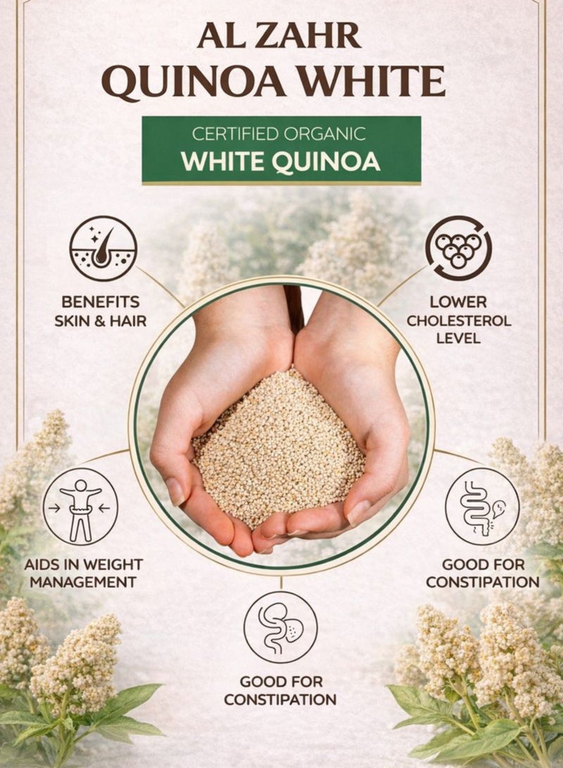 Zahr White Quinoa Seeds (Habat Al Quinoa Al Bayda) – Chenopodium quinoa | Premium Botanical Seeds for Gardening, Horticulture, Herbal Projects & Planting - Image 5