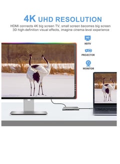 Generic USB Type C Hub 12 in 1 Dock Station Adapter 2 Ports 4K HDMI VGA 4 USB 3.0 Ports USB Type C PD3.0 Data RJ45 Ethernet SD/TF 3.5mm AUX Compatible with MacBook Pro/Air and Type C Devices  - Image 4