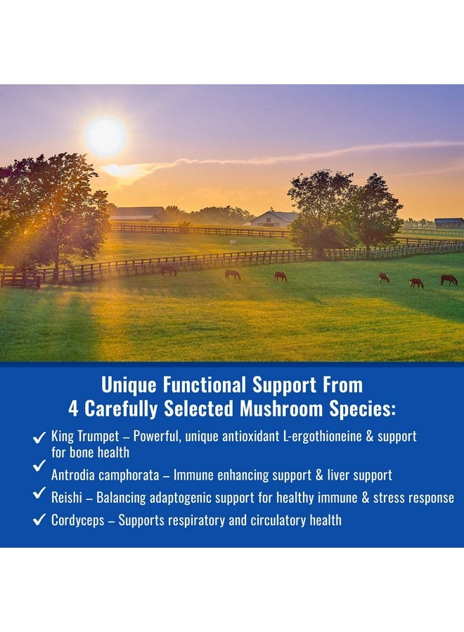 mushroom Matrix Om Mushroom Matrix - Equine | Wellbeing | USA Grown Human-Grade Organic Mushroom Powder Show Safe Horse Supplement | Wellness, Recovery, & Senior Support | 300 Grams, 10.5 oz - Image 2
