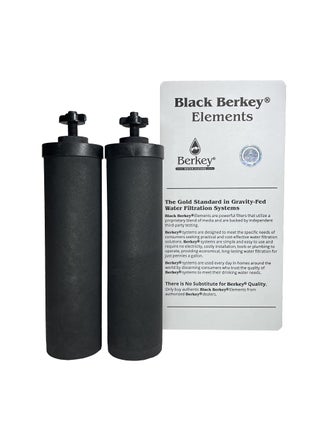 Berkey Authentic Black Berkey Elements BB9-2 Filters for Berkey Water Systems (Set of 2) - pzsku/Z6E19F42193E33EABD25CZ/45/1749374392/2a22712c-b33b-4f88-ab70-7be521735b55