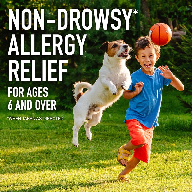 GoodSense Loratadine Orally Disintegrating Tablets 10 mg 24Hour Allergy Medicine Antihistamine Melts in Your Mouth for Ages 6 and up - Image 4