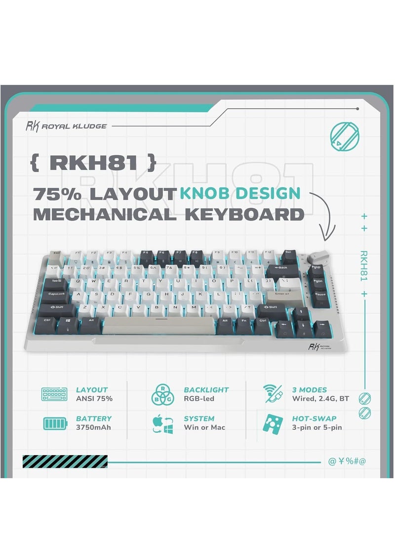 رويال كلودج لوحة مفاتيح ميكانيكية قابلة للتبديل السريع H81، وضع ثلاثي RGB SkyCyan - Image 4