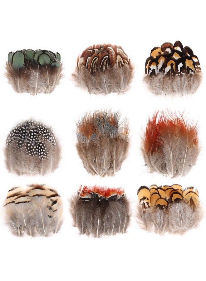 MWOOT 9 Styles Assorted Craft Feathers (180Pcs), Natural Chicken Feathers For Diy Earring Wings Dream Catcher Crafts Activities Project Wedding Party Home Decoration - Image 1
