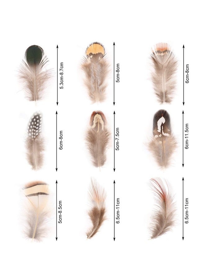 MWOOT 9 Styles Assorted Craft Feathers (180Pcs), Natural Chicken Feathers For Diy Earring Wings Dream Catcher Crafts Activities Project Wedding Party Home Decoration - Image 3