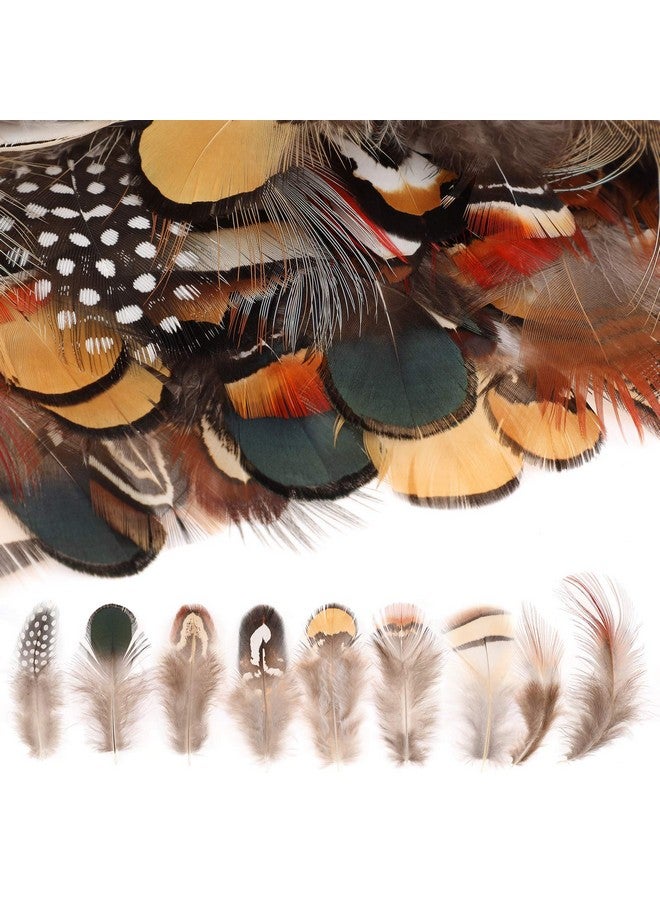 MWOOT 9 Styles Assorted Craft Feathers (180Pcs), Natural Chicken Feathers For Diy Earring Wings Dream Catcher Crafts Activities Project Wedding Party Home Decoration - Image 2