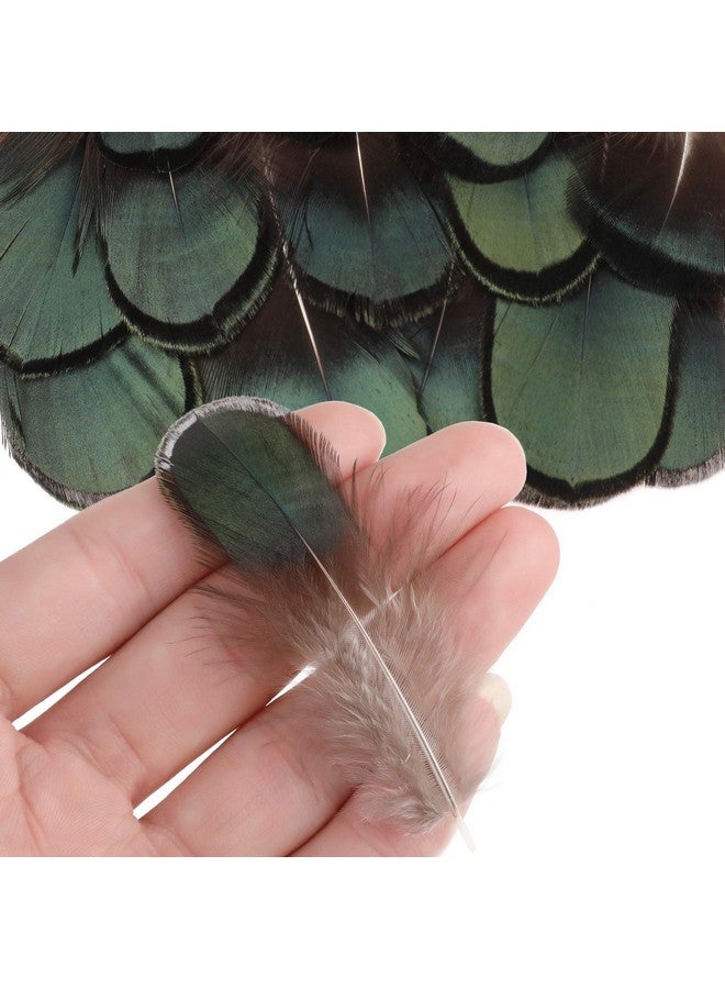 MWOOT 9 Styles Assorted Craft Feathers (180Pcs), Natural Chicken Feathers For Diy Earring Wings Dream Catcher Crafts Activities Project Wedding Party Home Decoration - Image 4