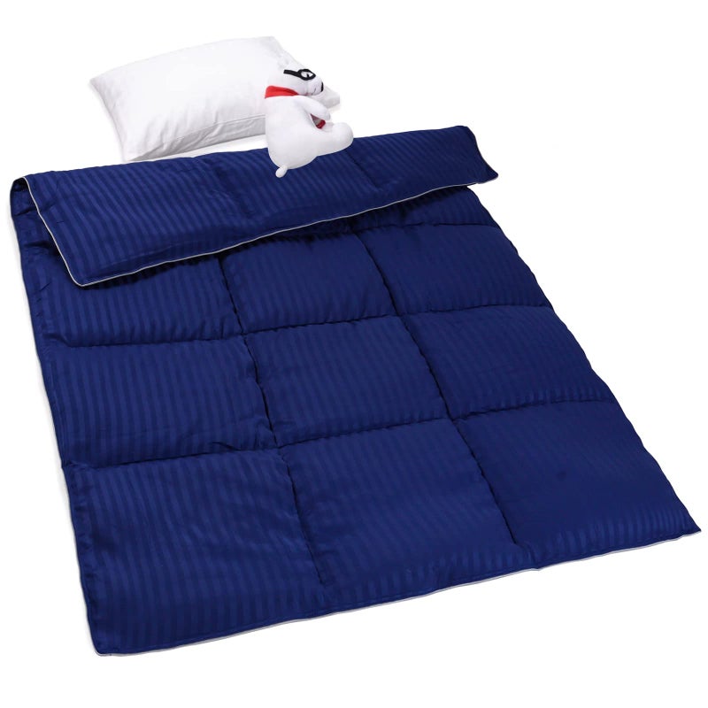 ZPECC Toddler Down Alternative Comforter 39x47 Hypoallergenic Baby Blanket Quilt Soft Breathable Lightweight All Season Kids Duvet Insert for Crib Stroller Cot Daycare Blue Stripe