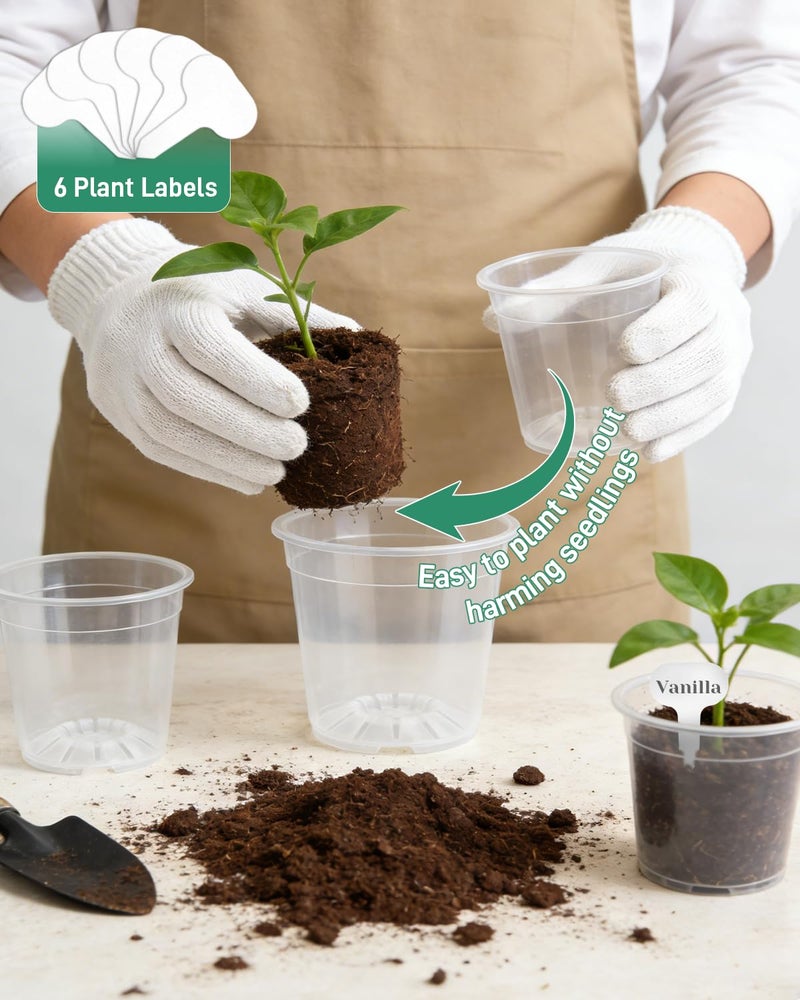 Biotolot 6 Pack Clear Nursery Pots with Drainage 9.5/8/7.5/6.7/5/4.5 Inch Nursery Pots with Saucers Transparent Seedling Pots Including Plant Labels Seed Starting for Indoor Outdoor Home Gardening - Image 3