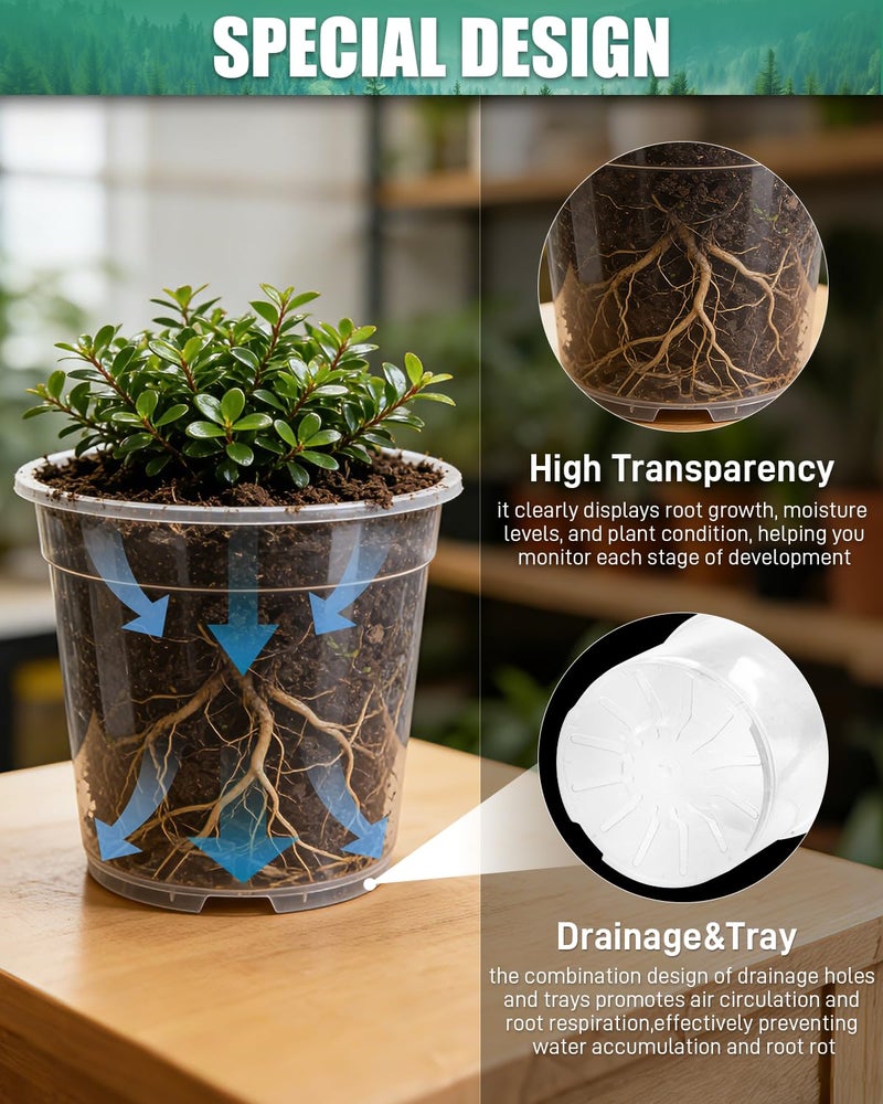 Biotolot 6 Pack Clear Nursery Pots with Drainage 9.5/8/7.5/6.7/5/4.5 Inch Nursery Pots with Saucers Transparent Seedling Pots Including Plant Labels Seed Starting for Indoor Outdoor Home Gardening - Image 5
