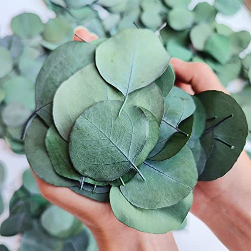 NKYUX 300+ Pcs Dried Real Eucalyptus Leaves, Rustic Boho Wedding Table Decor, 100% Natural Preserved Silver Dollar Eucalyptus Decor Green Leaves, Biodegradable Confetti for Weeding, DIY, Baby Shower, Cake1 - Image 1