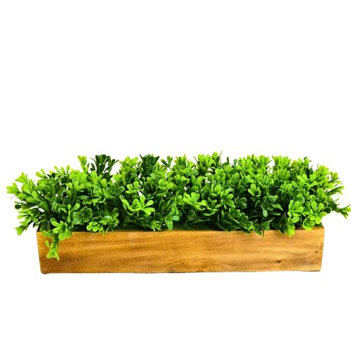 fancymart Artificial Gardenia Plant Bunch in Wood Planter, Home and Office Decor Plants for Decoration, Realistic Green Decorative for Interior, Living Room, Office Desk -8137 - Image 5