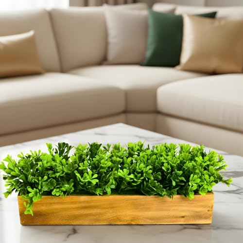 fancymart Artificial Gardenia Plant Bunch in Wood Planter, Home and Office Decor Plants for Decoration, Realistic Green Decorative for Interior, Living Room, Office Desk -8137 - Image 4