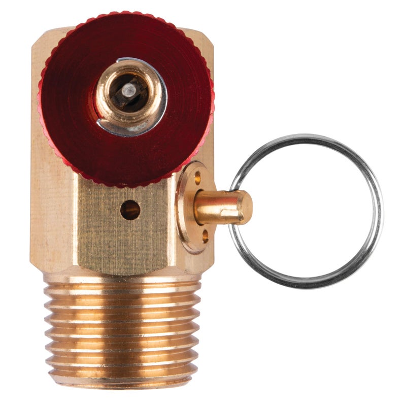 Performance Tool W10056 Air Tank Manifold With Fill Port , Ball Valve, & Relief Bypass , Gold - Image 3