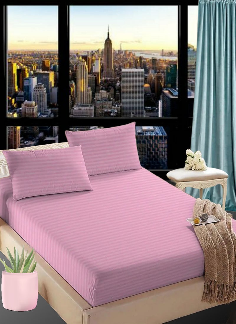 Blueberry Faded Pink Queen Size Stripe Bed Sheet Set Cotton 180x200+20cm  - Image 1