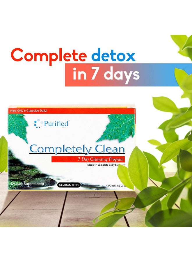 Wellgenix Omni Completely Clean - 7 Day Toxin Cleanse - Complete Body Detoxifying Support Pills - Flush Out Toxins & Waste -42 Capsules - Image 3
