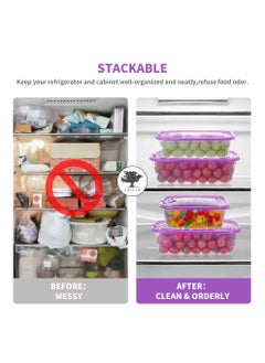 sulfar Sulfar Rectangular Plastic Food Storage Container with Air Tight Lid Kitchen Container Meat Box Fridge and Freezer Storage Boxes Bowl - 225ml, 325ml, 650ml, 1250ml, 4 Pcs, Clear (Purple)  - Image 4