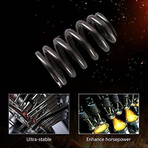 Dokili .560" Lift Valve Springs Set for Gen III IV 4.8L 5.3L 6.0L 6.2L Engines - Image 2