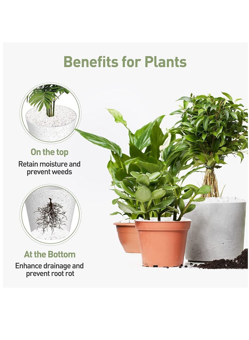 White Decorative Pebbles Natural River Rock Pebbles for Plants, Home DIY Decor,Aquarium Gravel,Vase Fillers,Fairy Garden,Landscaping Outdoor Stones 3-5mm (3KG) - Image 3