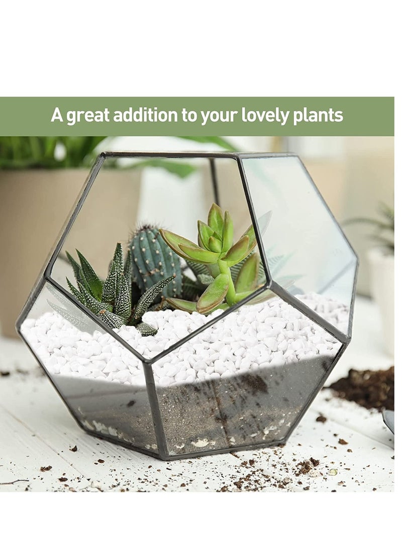 White Decorative Pebbles Natural River Rock Pebbles for Plants, Home DIY Decor,Aquarium Gravel,Vase Fillers,Fairy Garden,Landscaping Outdoor Stones 3-5mm (3KG) - Image 5