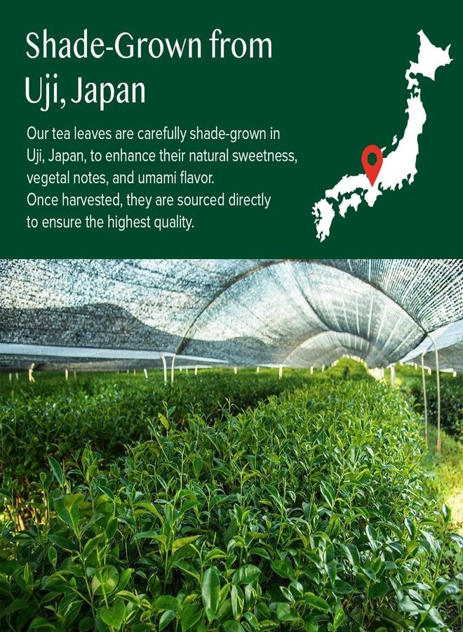 VAHDAM, Vanilla Matcha Green Tea Powder - 1.76oz | Pure Madagascar Vanilla + Premium Authentic Japanese Matcha | Hot or Iced - Vegan & Gluten-Free - Image 3