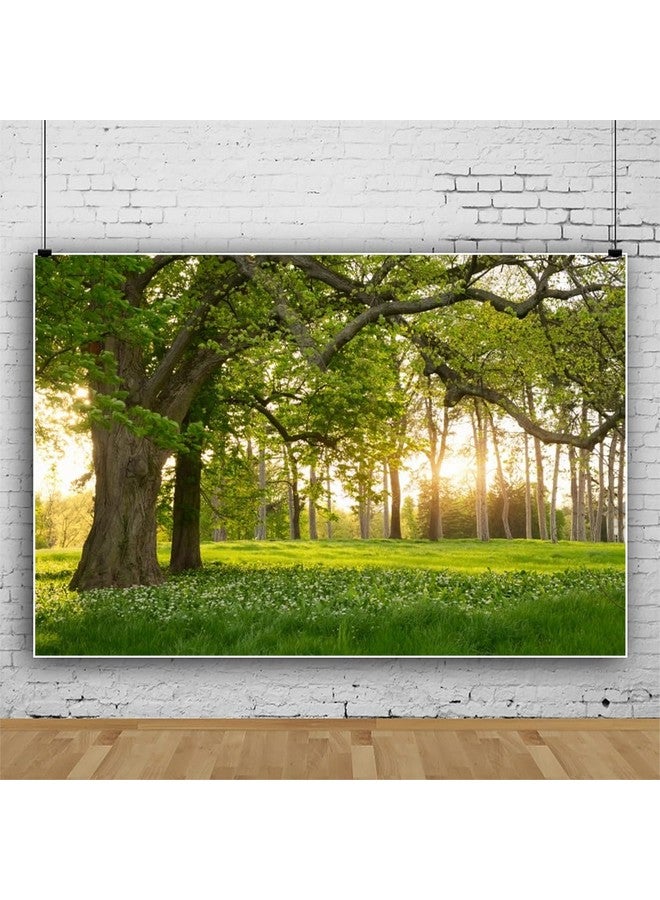 لويفوا خلفية ربيعية مقاس 10×7 أقدام، أشجار غابات ريفية، خلفيات للتصوير الفوتوغرافي، أزهار متفتحة، مروج خضراء، طبيعة، خلفية فينيل، صور للأطفال والكبار، صور شخصية للسفر في الهواء الطلق، دعائم الاستوديو - Image 2