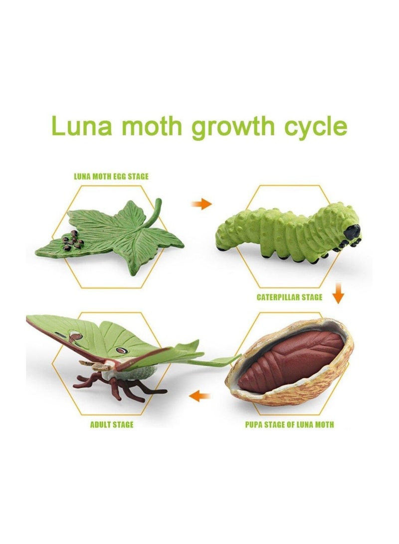 SYOSI Life Cycle Models Butterfly, Simulation Animal Growth Cycle Model, Life Cycle Animal Figures Toy Growth Model for Children, for Home Diy, School Teaching Aids, 4 Stages of Butterfly Developments - Image 2