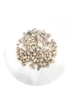 Generic Jaw Stone 250 grams 