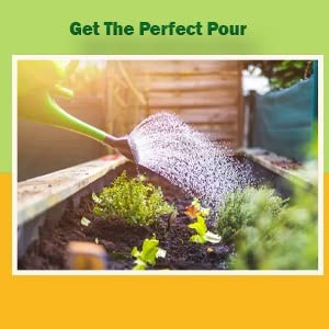 Cocogarden® Premium Watering Can for Plants with Strong Brass Sprayer(Plastic, Green, 5 litres) - Image 5