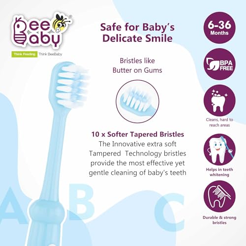 BeeBaby Brush Buddy Toothbrush for Infants 6 Months +. Small Head 10 x Super Soft Tapered Bristles ideal for Milk Teeth, 100% BPA Free. Blue & Pink. Pack of 2 - Image 3