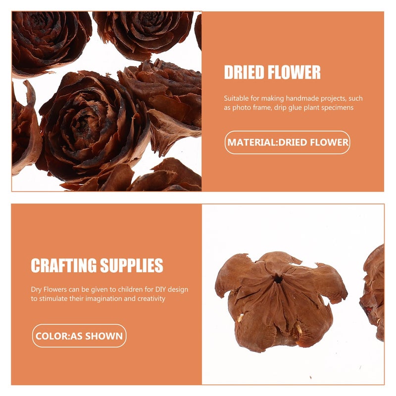 Natural Pine Cones Dried Flowers Set for Home Decor Crafts and Botanical Frame Decoration - Image 4