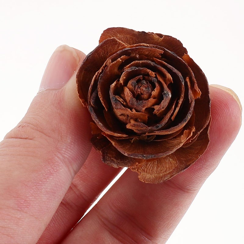 Natural Pine Cones Dried Flowers Set for Home Decor Crafts and Botanical Frame Decoration - Image 5