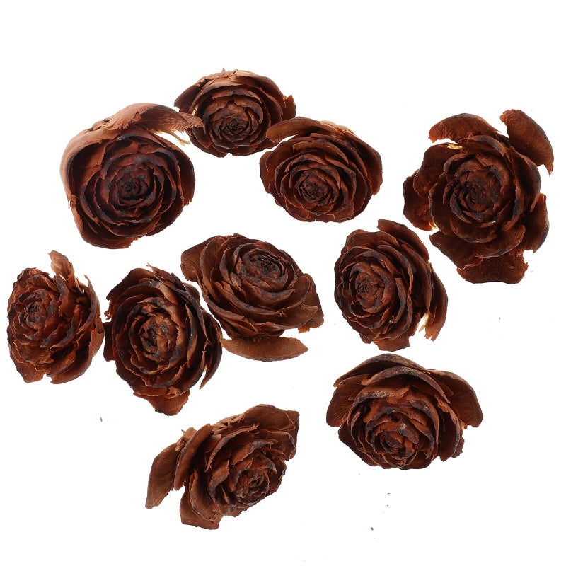 Natural Pine Cones Dried Flowers Set for Home Decor Crafts and Botanical Frame Decoration - Image 2