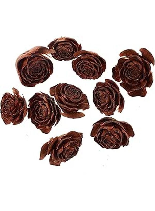 Natural Pine Cones Dried Flowers Set for Home Decor Crafts and Botanical Frame Decoration - Image 1