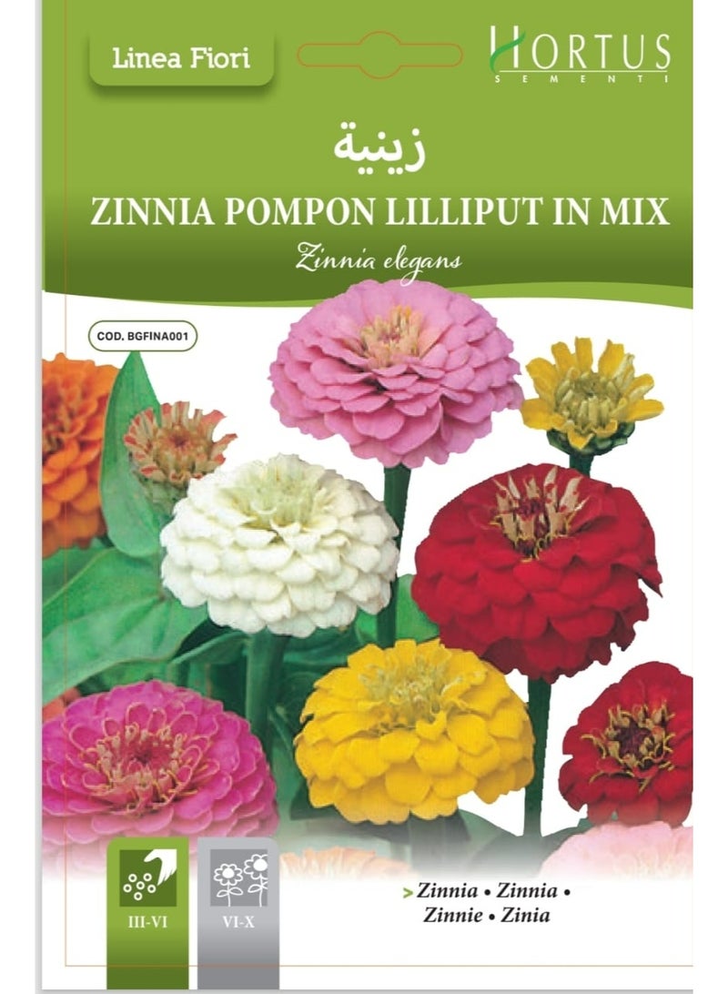 Zinnia Seeds