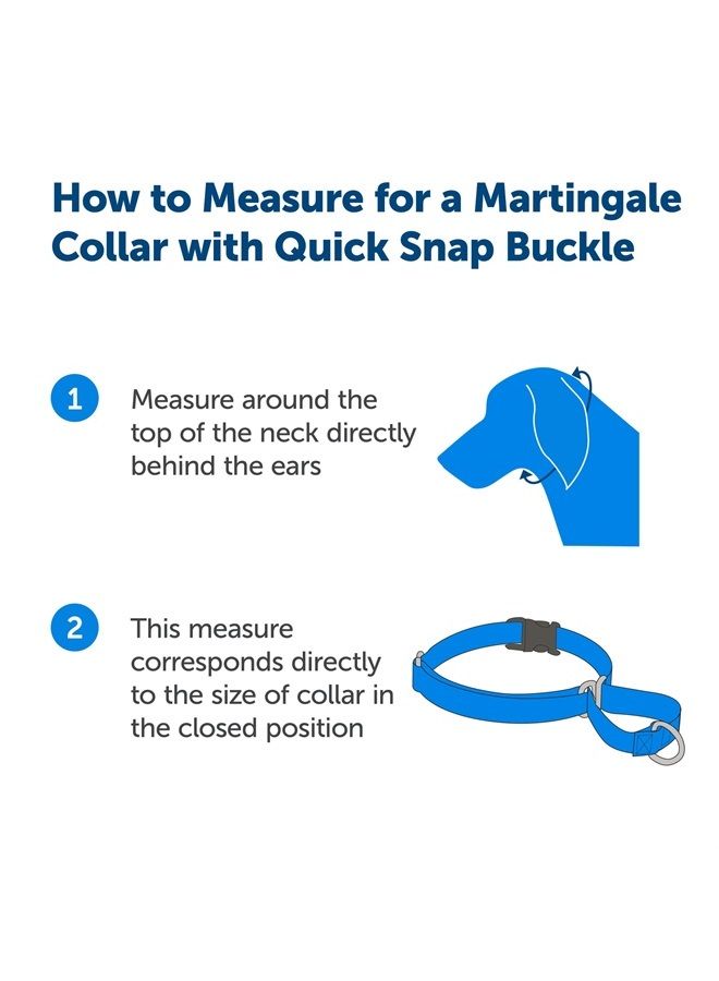 PetSafe Martingale Collar with Quick Snap Buckle, 1" Large, Deep Purple